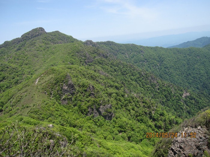 f0193521_9283036.jpg