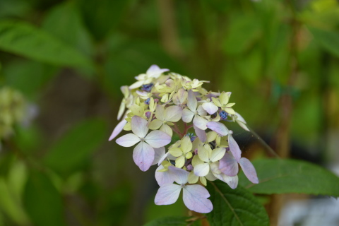 e0335926_22102961.jpg