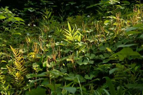 e0335926_22125480.jpg