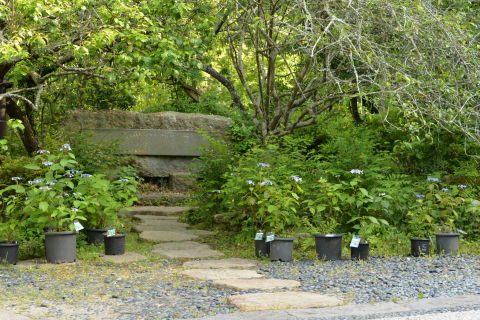 e0335926_22173010.jpg