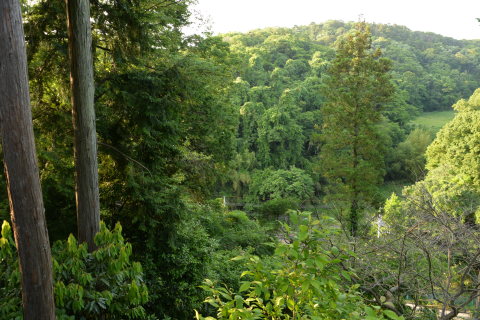 e0335926_23010385.jpg