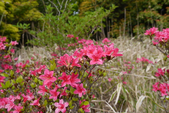 c0266127_2224975.jpg