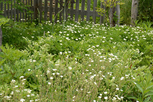 c0107129_0225627.jpg