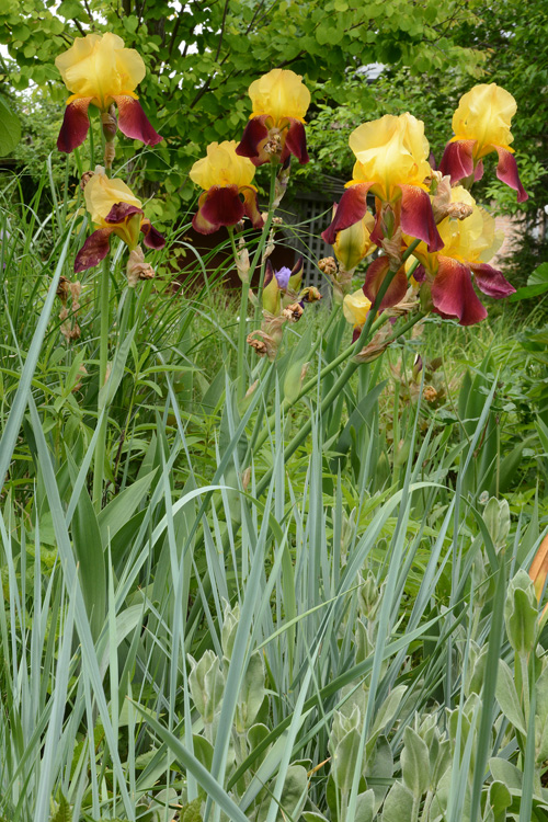 c0107129_0243691.jpg