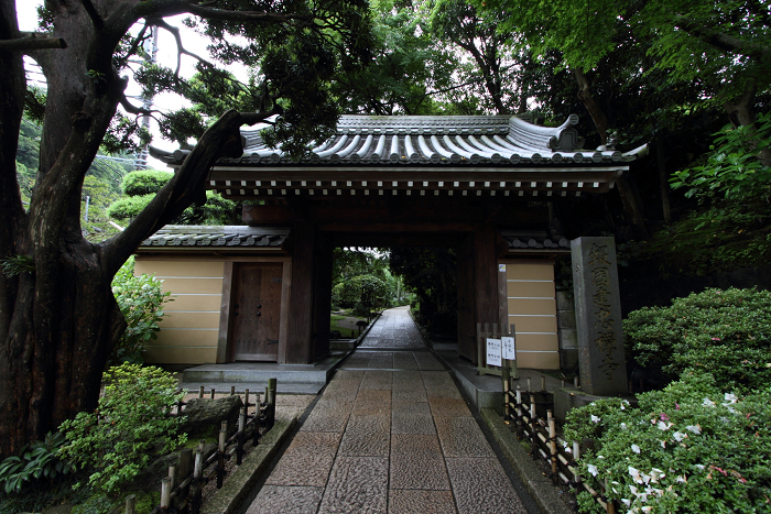 鎌倉散歩　#45 －初夏の金沢街道のお寺巡り（報国寺・後編）－_b0169330_7441592.jpg