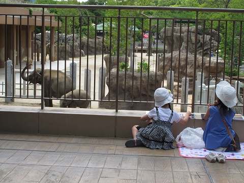 動物園_c0077531_23461694.jpg