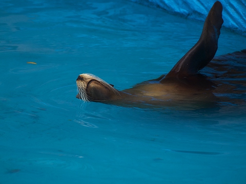 動物園_c0077531_23522268.jpg