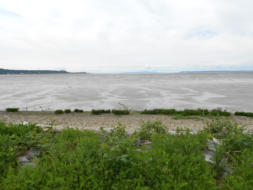 Mud Bay Park_e0032933_2133389.jpg