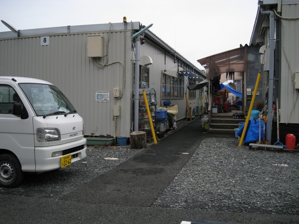 b0219534_1957271.jpg