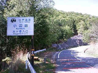 熊野古道 小辺路 高野山～三浦口_d0163834_744420.jpg