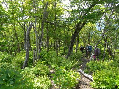 e0272335_1330286.jpg