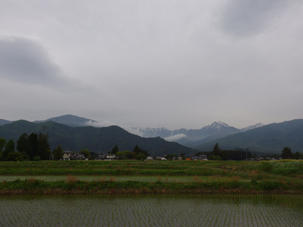 月曜日はくもりのち雨_a0014840_2074924.jpg