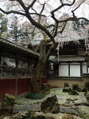 京都大原野の十輪寺_e0173645_07421884.jpg