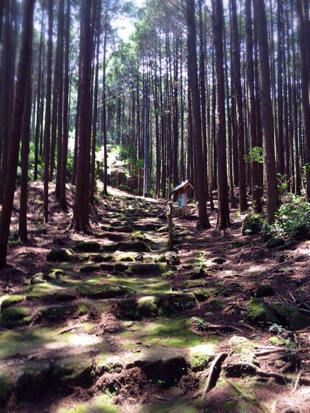 熊野古道@曽根次郎坂・太郎坂コース_e0292546_2265137.jpg