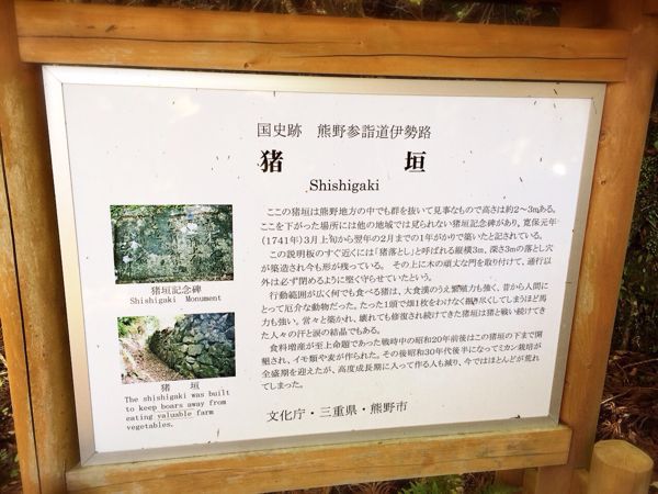 熊野古道@曽根次郎坂・太郎坂コース_e0292546_227853.jpg