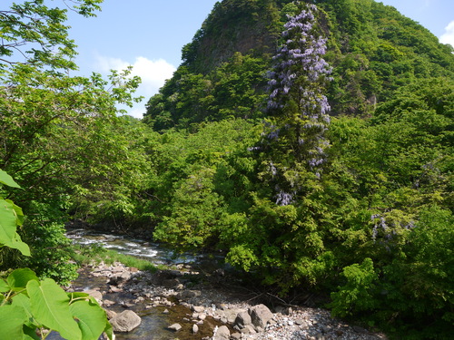 d0237053_20515443.jpg