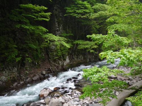 d0237053_21083289.jpg