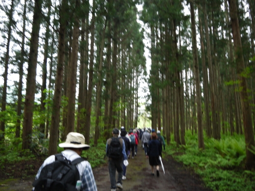 d0237053_21113677.jpg