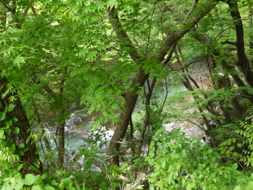 d0237053_21250301.jpg