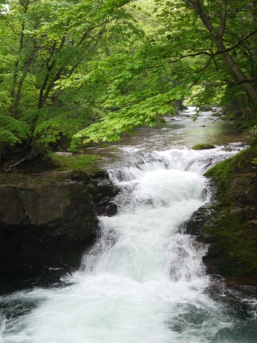 d0237053_21310011.jpg