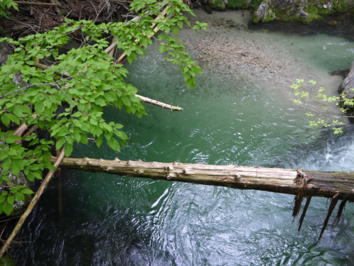 d0237053_21454555.jpg