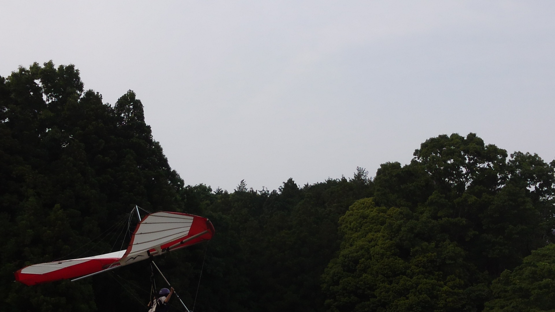 慌てずゆっくりやりたいのですが_a0069056_13592486.jpg