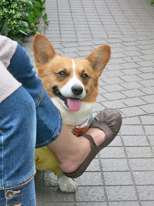 あの仔に会いたい! おまけ編_c0260460_7432562.jpg
