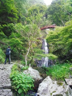 プチ便り( 新緑の五宝滝)_a0206870_13151167.jpg