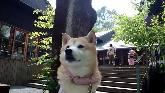 b0274270_12412582.jpg
