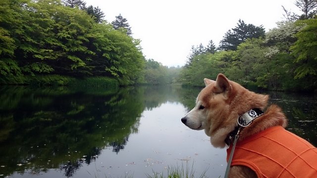 b0274270_12415466.jpg