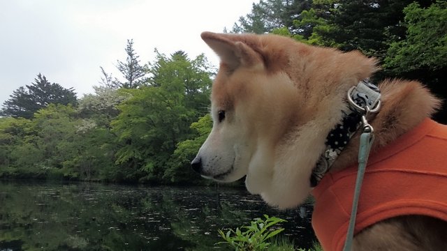 b0274270_1242879.jpg