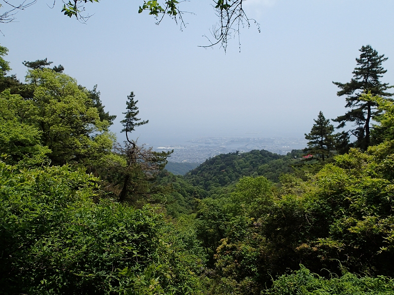 a0125171_17442.jpg