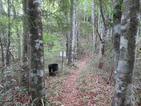 碁盤石山　　茶臼山高原道路よりお手軽ピストン_f0302771_11421153.jpg