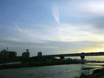 f0207074_1463597.gif