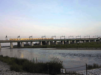 f0207074_149578.gif