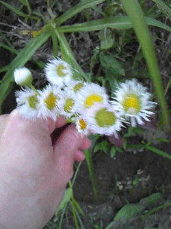 f0207074_202574.gif