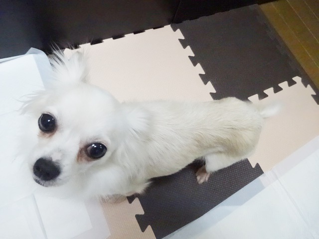 f0207979_23271161.jpg