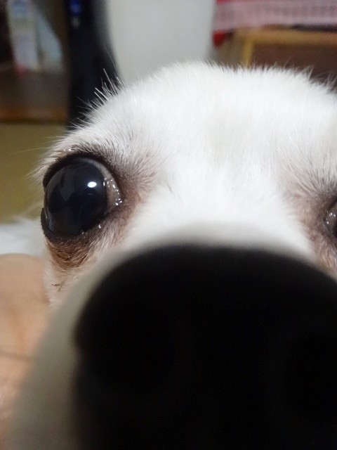 f0207979_2328517.jpg