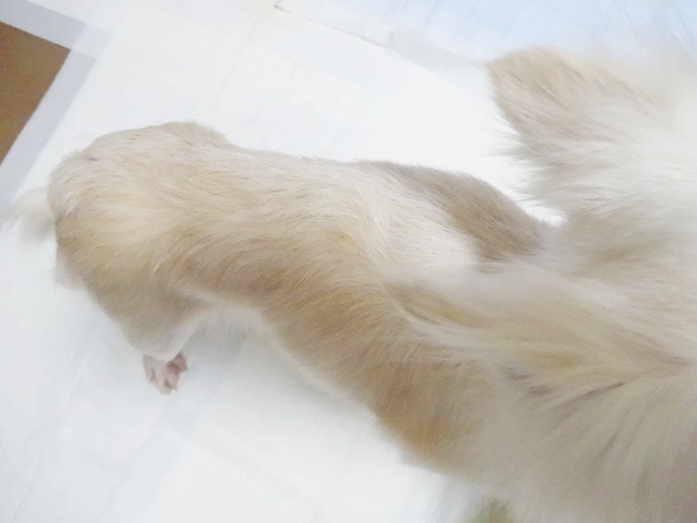 f0207979_2328684.jpg