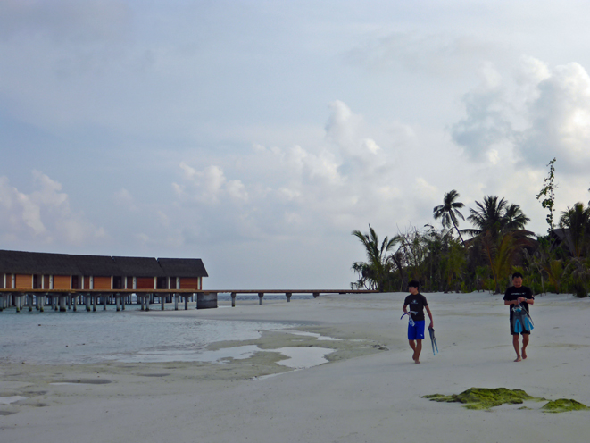 Kandolhu Island 2014-44　朝スノ_c0147790_10554542.jpg