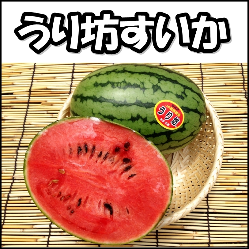 ーー顔を見ながら、話せる!スカイプ!無料!やから、お電話!してね~!--ハハハーー。_d0060693_18472195.jpg