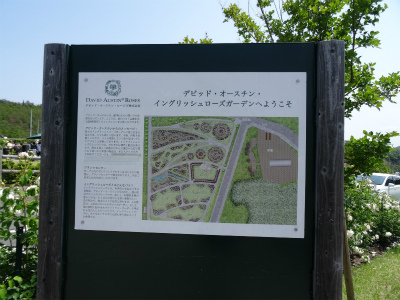 c0125501_1648293.jpg