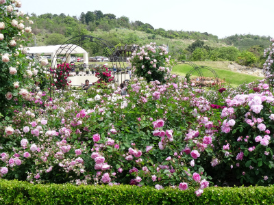 c0125501_16495252.jpg