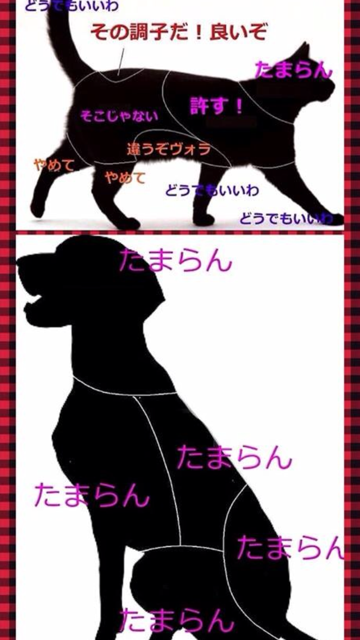 f0085810_17113743.png