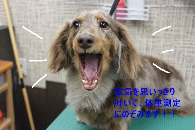シンプルヴァージョン！！_b0130018_9203553.jpg