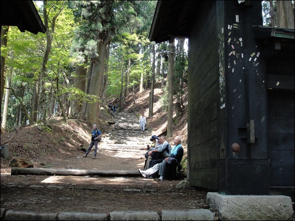 2014/5/25　火伏の神様 愛宕山で九輪草_e0041518_1124174.jpg