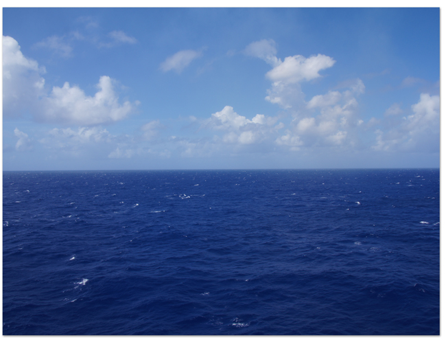 東カリブ海クルーズ(19) カバーチャージレストラン☆サバティーニ_d0210324_634188.jpg