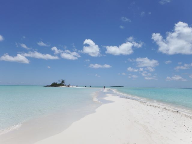 a0254130_15422916.jpg