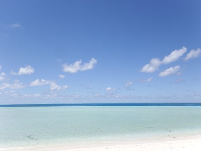 a0254130_15423142.jpg