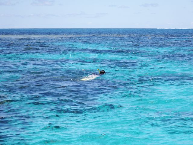 a0254130_15455045.jpg